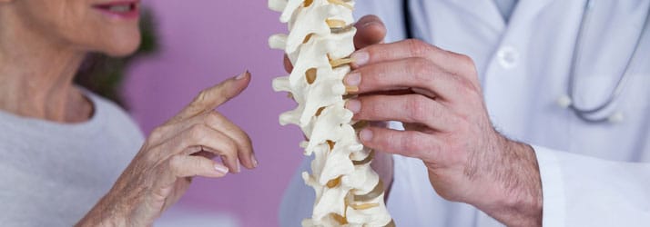 Chiropractic Wilmington DE Spine Model Chiropractic Wilmington DE Spine Model